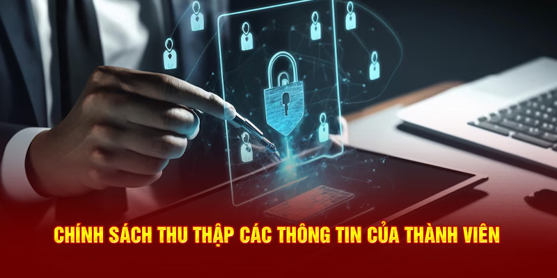 Chính sách thu thập thông tin của thành viên