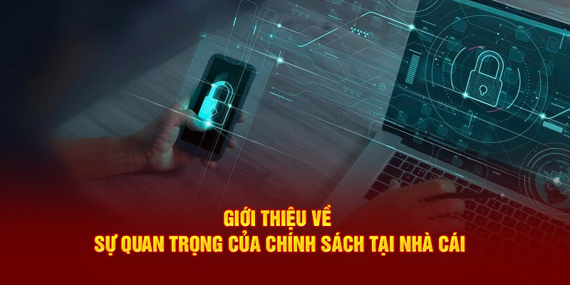 Giới thiệu về sự quan trọng của chính sách tại nhà cái