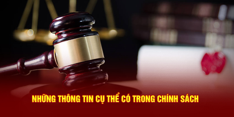 Những thông tin cụ thể có trong chính sách 