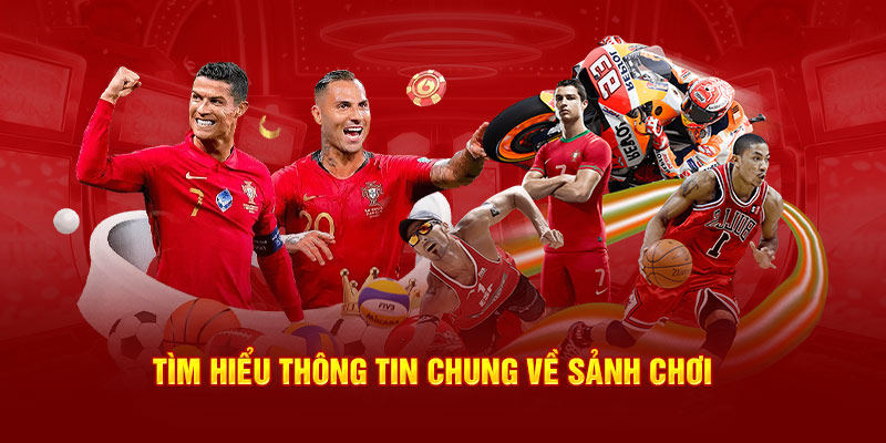 Tìm hiểu thông tin chung về sảnh chơi